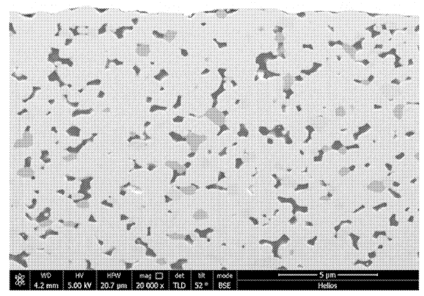 Image 2 QuantumScape Patent