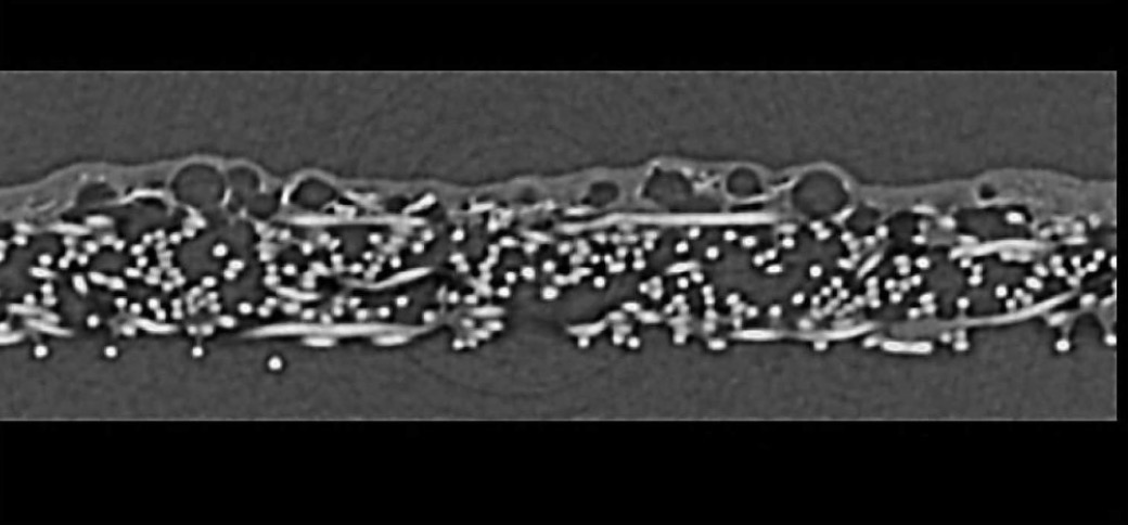 FREUDENBERG CARL KG [DE] / Patent Image