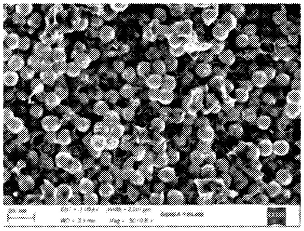 SILA NANOTECHNOLOGIES INC [US] / Patent Image