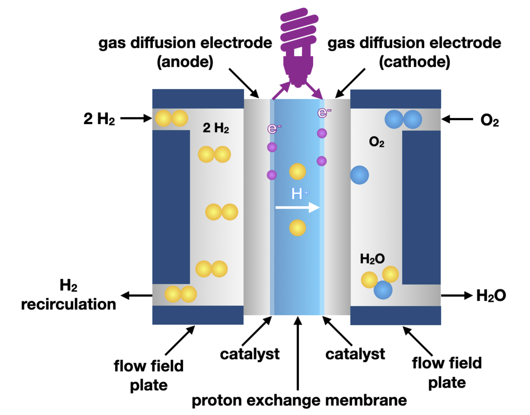 Basic Schematic of a PEM Fuel Cell